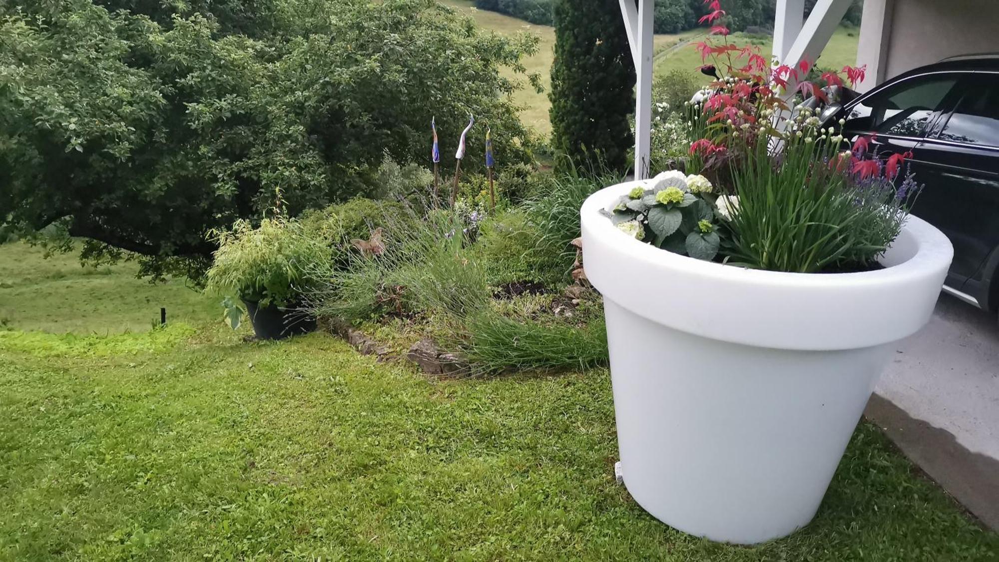 Thomas Appartement Stuhlingen Rom bilde